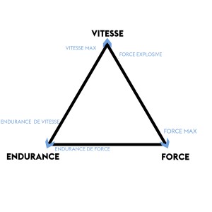 Pyramide forcr vitesse